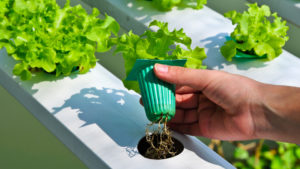 3D printed agriculture tools to hold plant